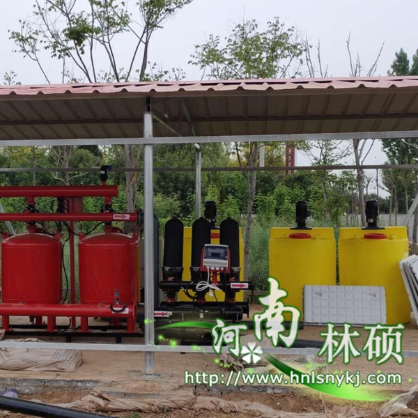 2019年河南省特色优质中药材良种繁育示范项目