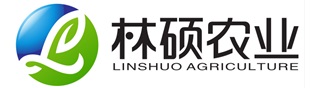 玻璃钢扬程管