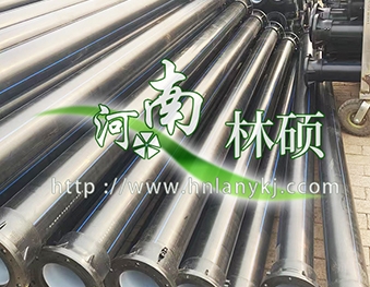 林硕.jpg